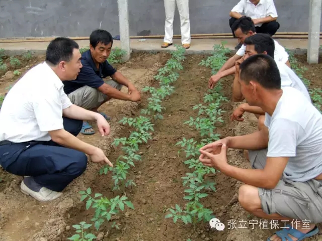 微生物菌劑的使用方法是什么？注意事項(xiàng)有哪些