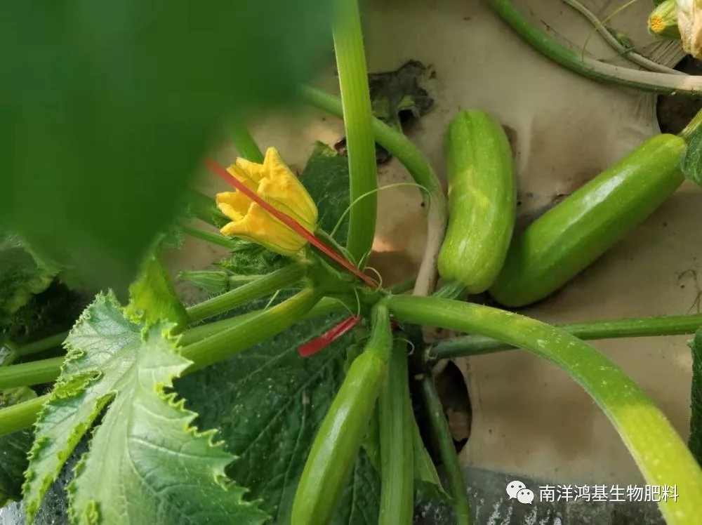 增產(chǎn)60%！??！秘訣速看